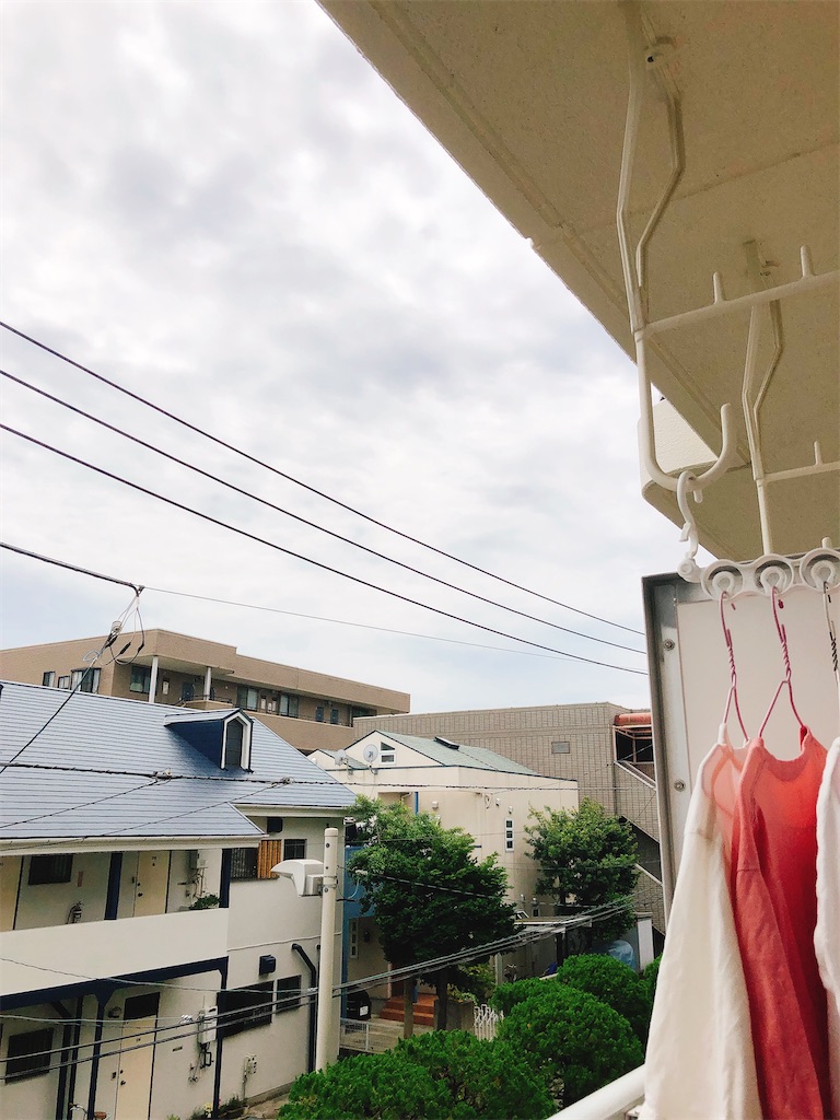 f:id:yomechang:20210524115712j:plain