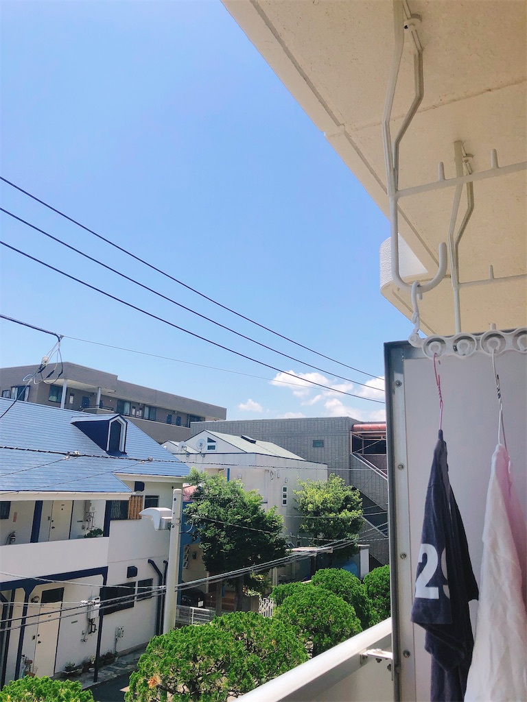 f:id:yomechang:20210601122227j:plain