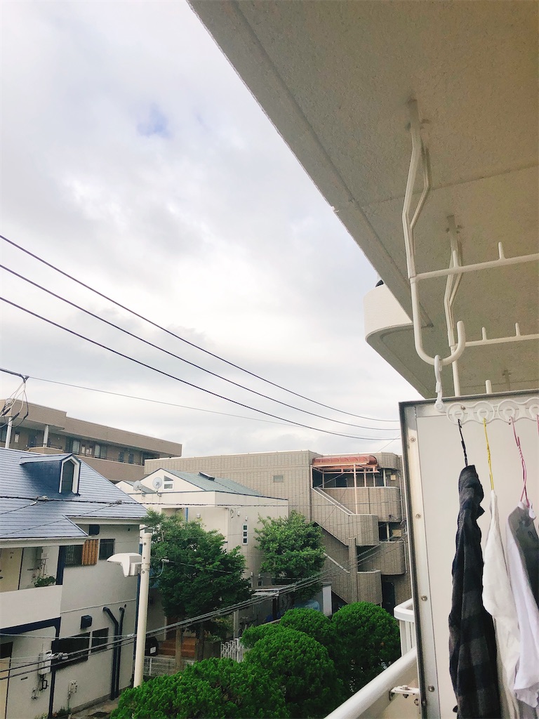 f:id:yomechang:20210605083915j:plain