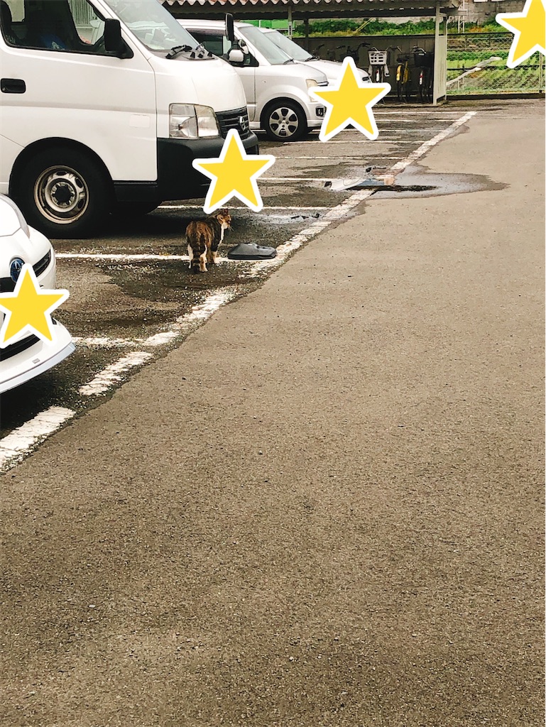 f:id:yomechang:20210607113256j:plain