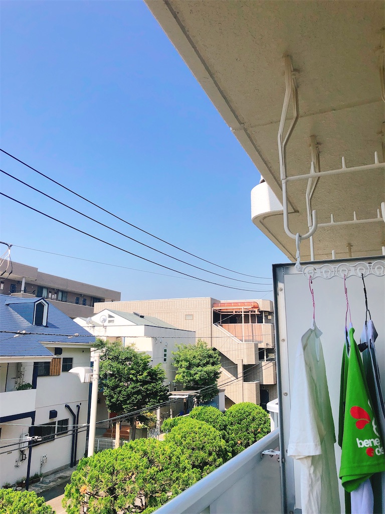 f:id:yomechang:20210610092610j:plain