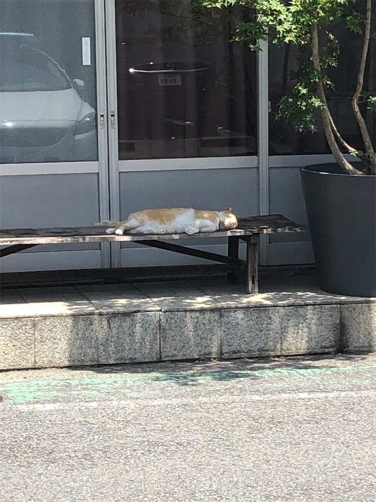 f:id:yomechang:20210611162042j:plain