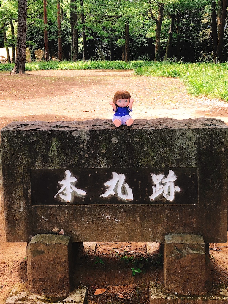f:id:yomechang:20210612151647j:plain