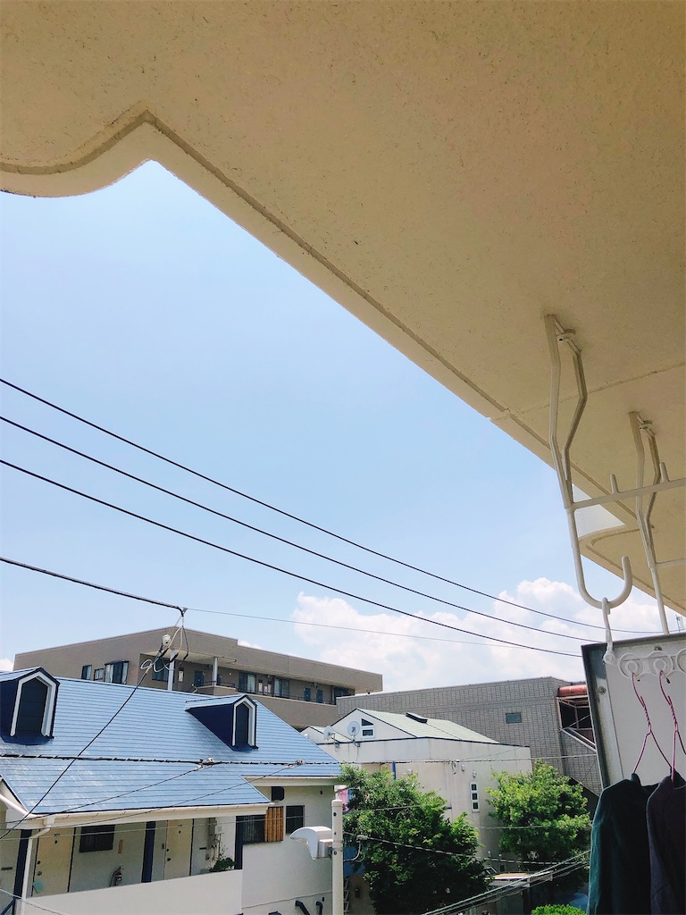 f:id:yomechang:20210615122552j:plain