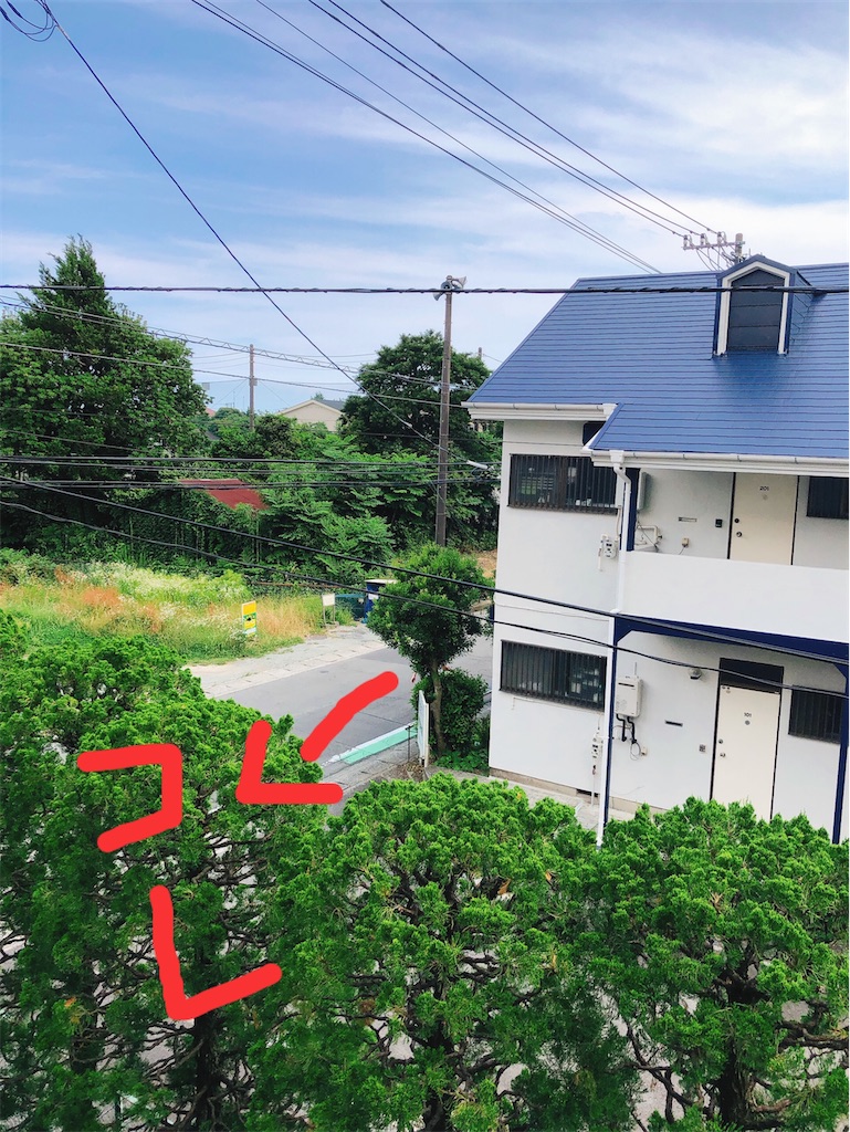 f:id:yomechang:20210615144548j:plain