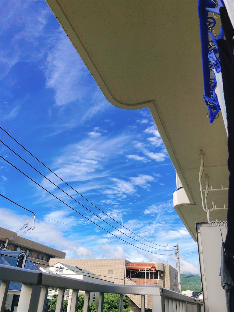 f:id:yomechang:20210620090251j:plain