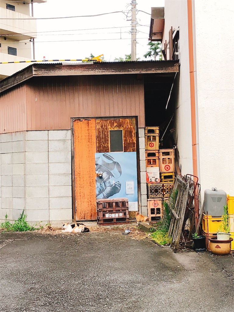 f:id:yomechang:20210622112645j:plain