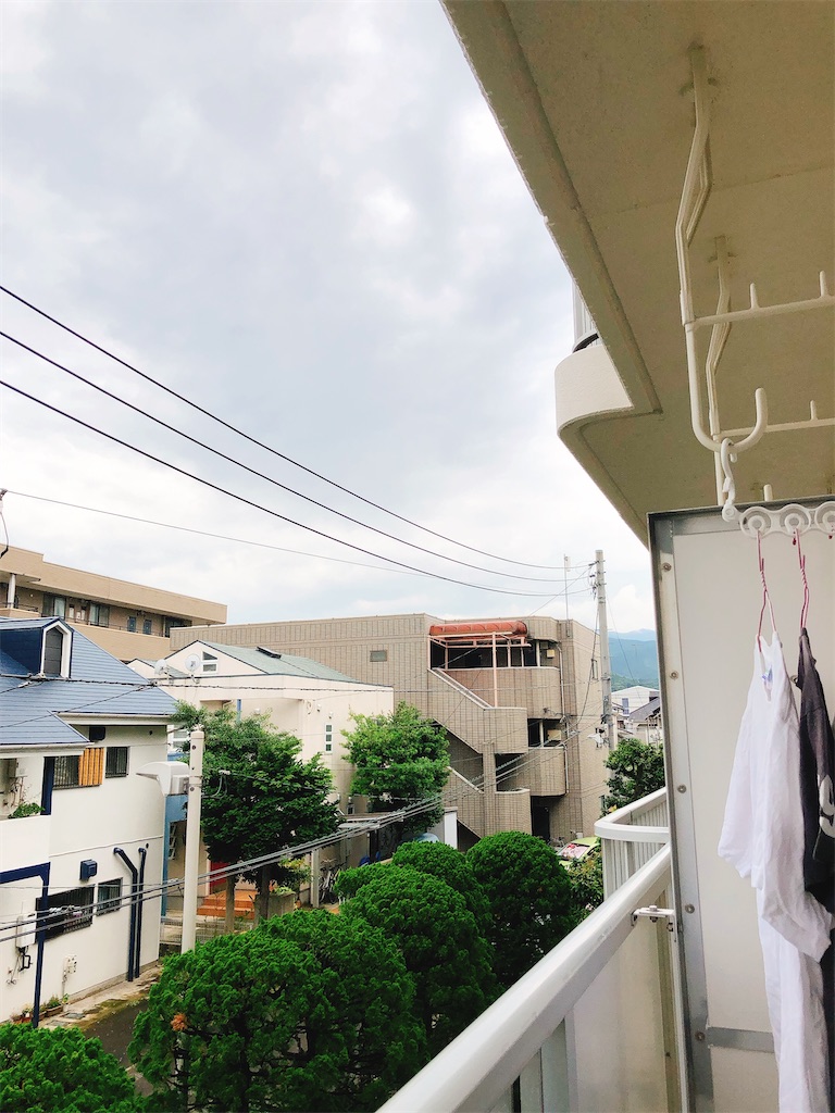 f:id:yomechang:20210623121700j:plain