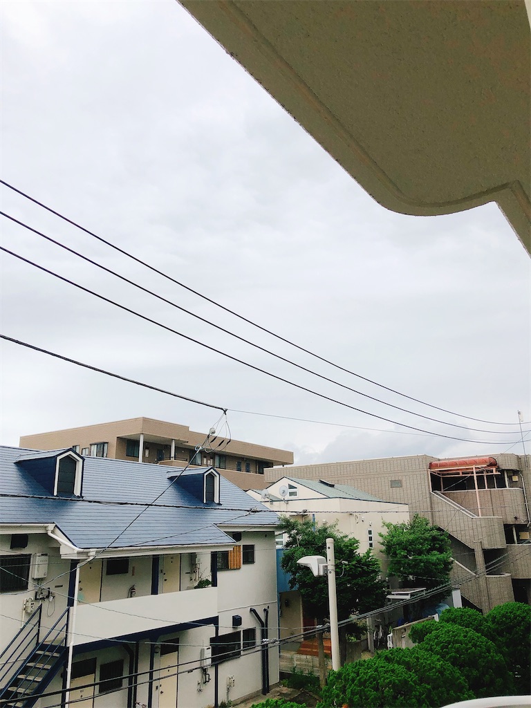 f:id:yomechang:20210627114918j:plain