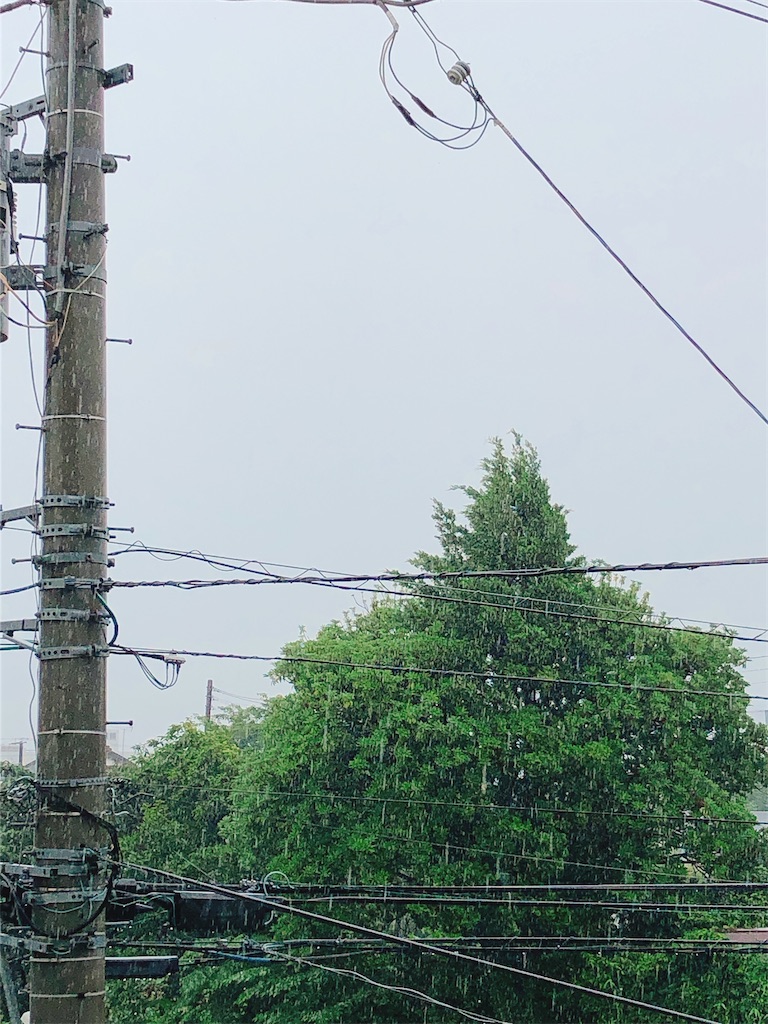 f:id:yomechang:20210702082012j:plain