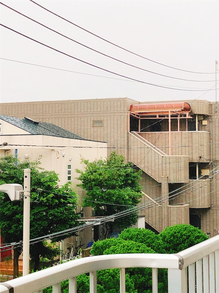 f:id:yomechang:20210703082031j:plain