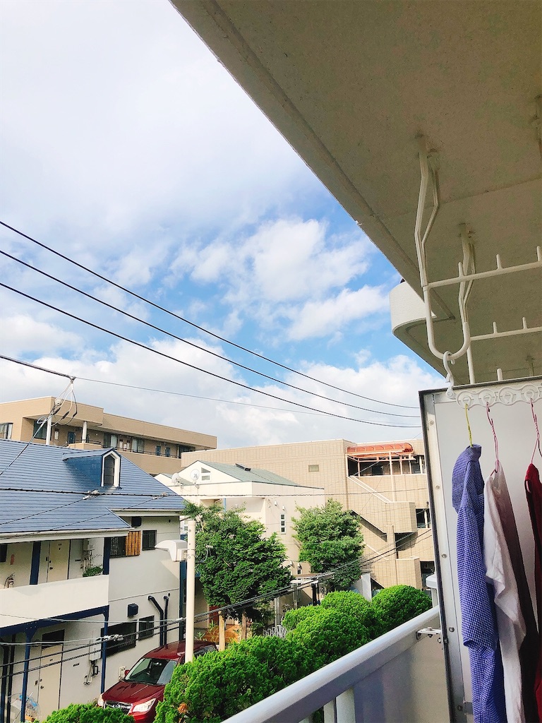 f:id:yomechang:20210710065259j:plain
