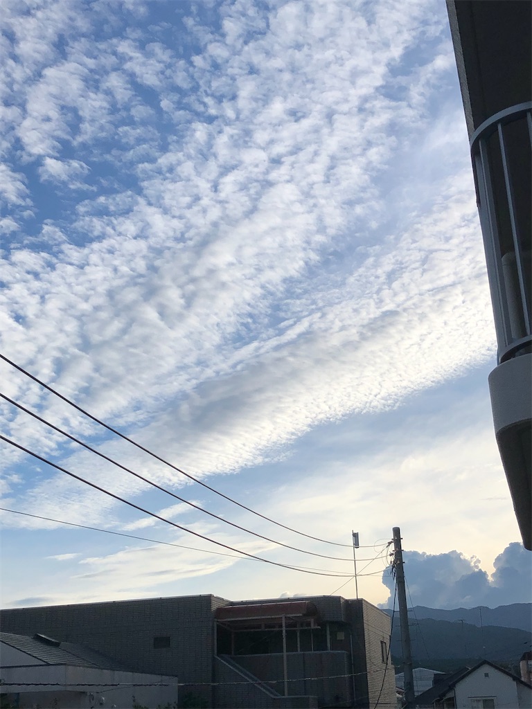 f:id:yomechang:20210715181432j:plain