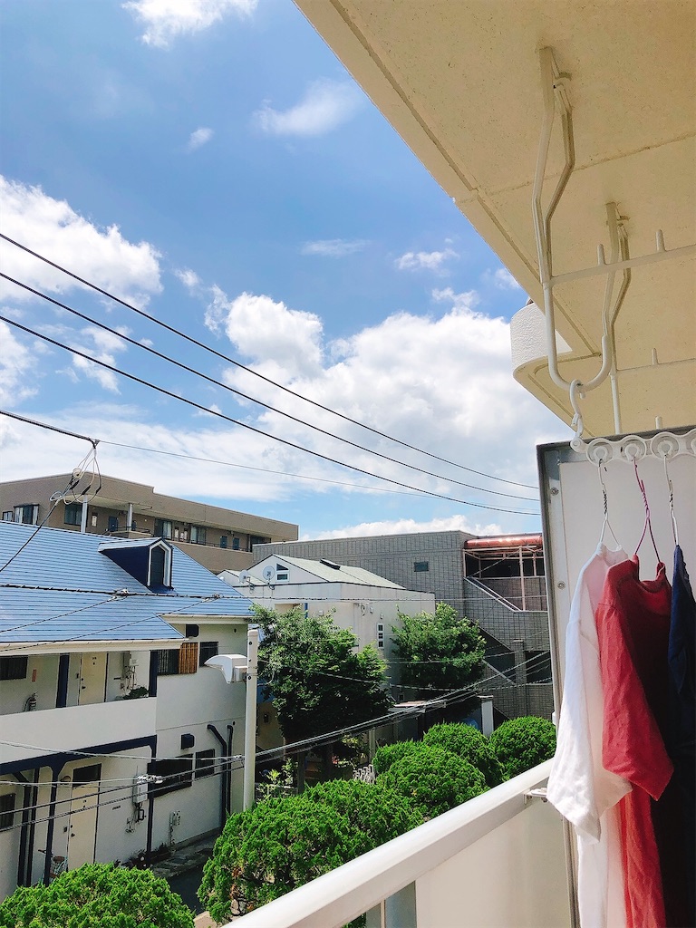 f:id:yomechang:20210728123516j:plain
