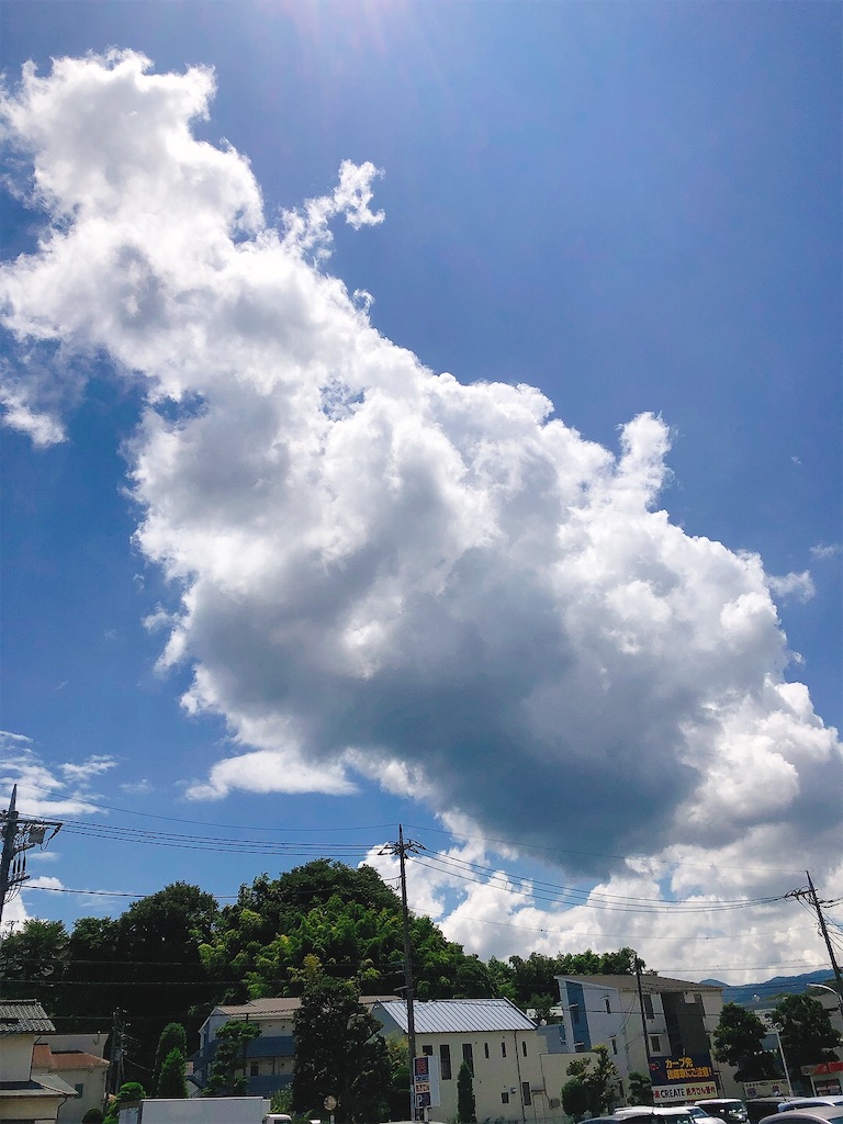 f:id:yomechang:20210729123126j:plain