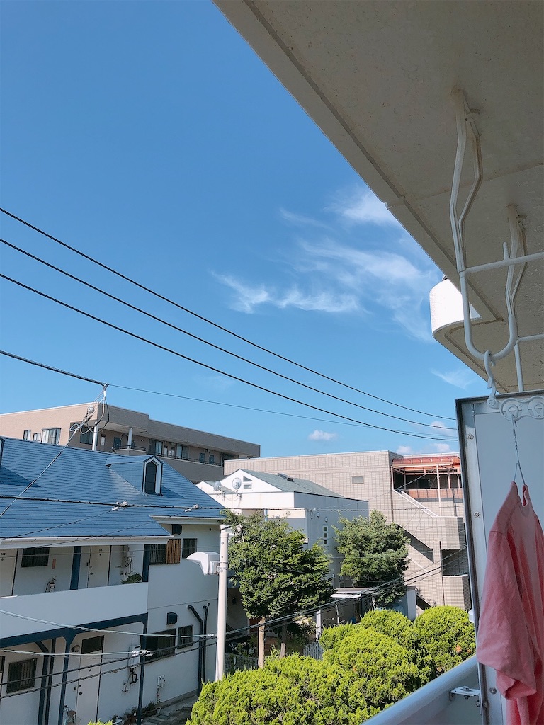 f:id:yomechang:20210801083920j:plain