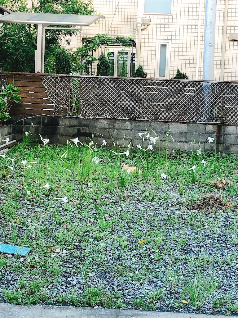 f:id:yomechang:20210810110040j:plain