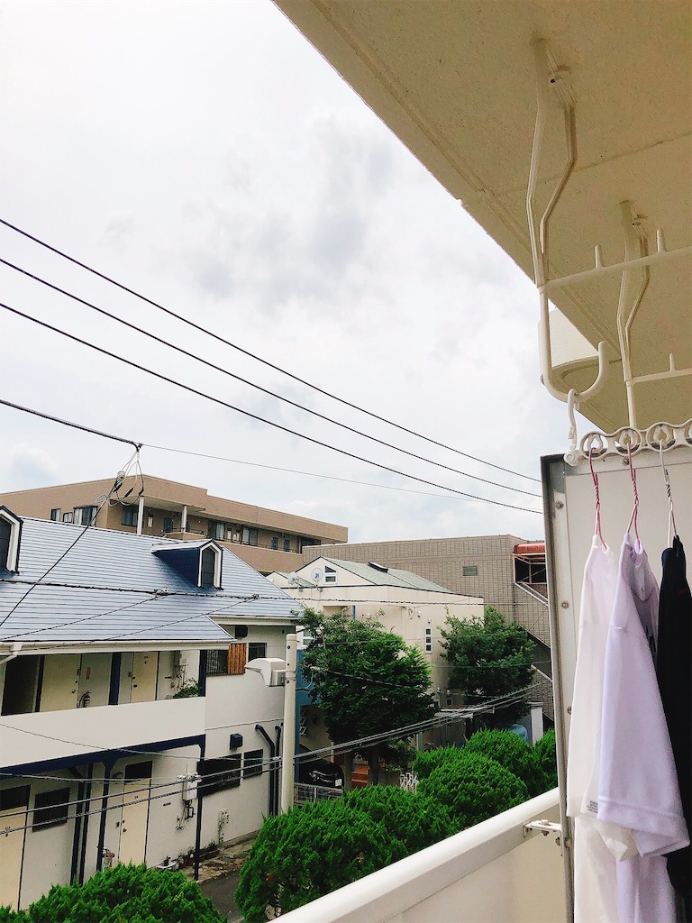 f:id:yomechang:20210824160128j:plain