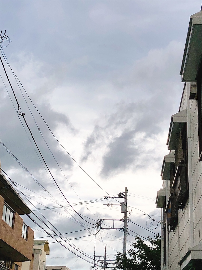 f:id:yomechang:20210825111859j:plain