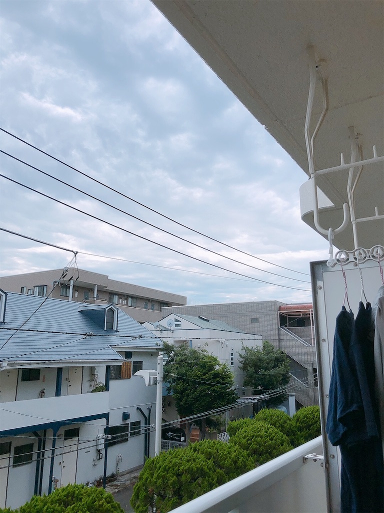 f:id:yomechang:20210825132623j:plain