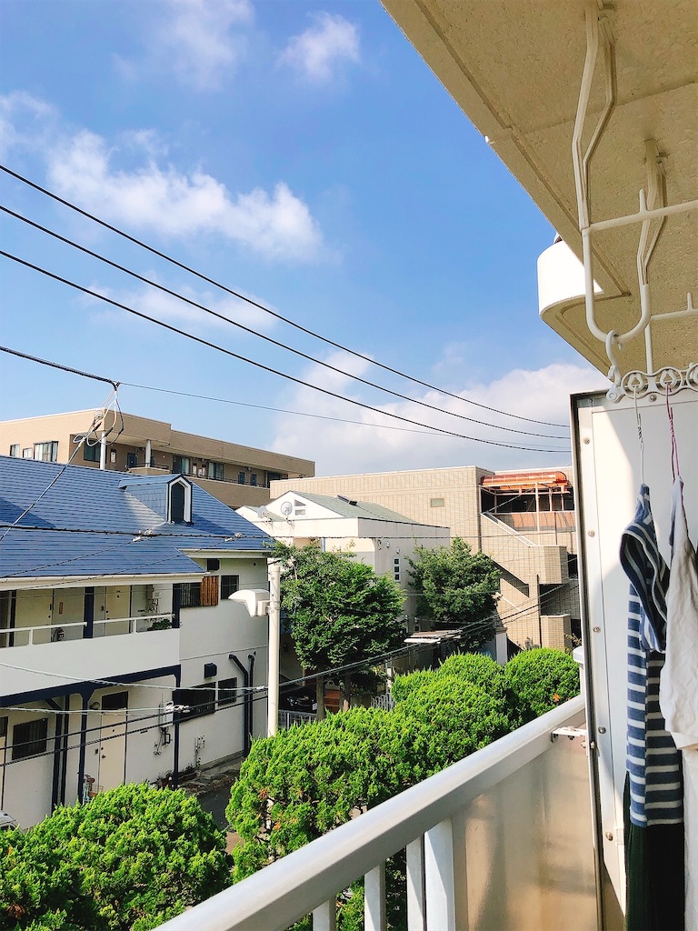 f:id:yomechang:20210828085933j:plain