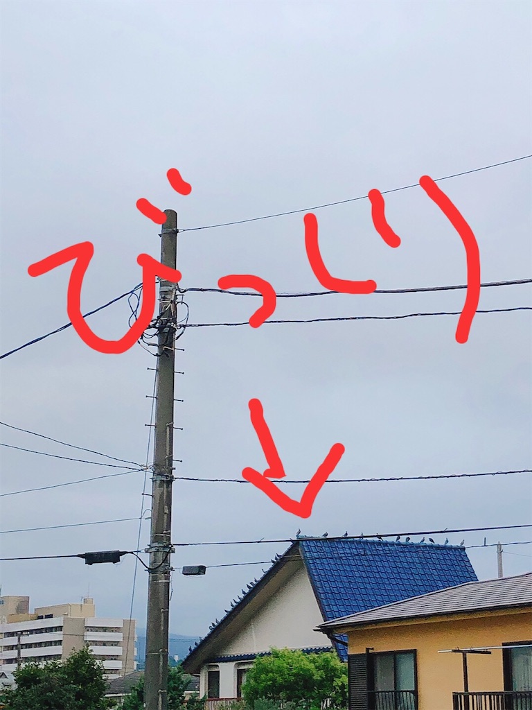 f:id:yomechang:20210831112229j:plain