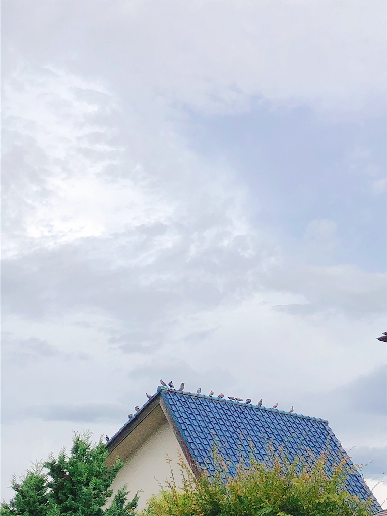 f:id:yomechang:20210831135631j:plain