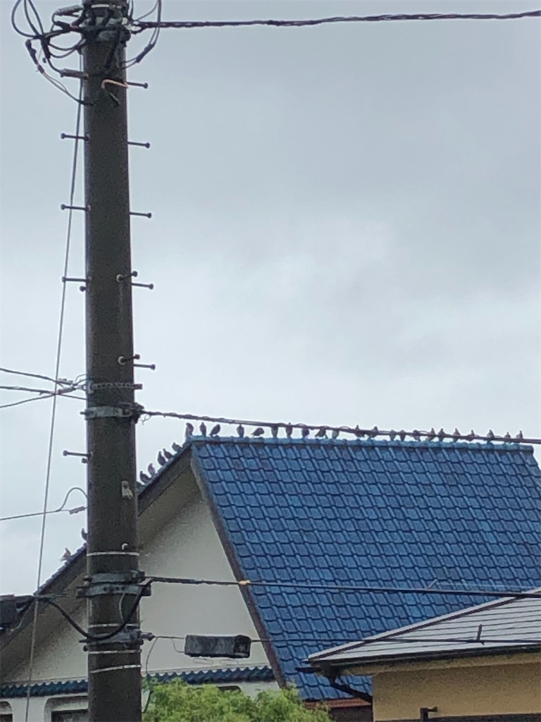 f:id:yomechang:20210902080544j:plain