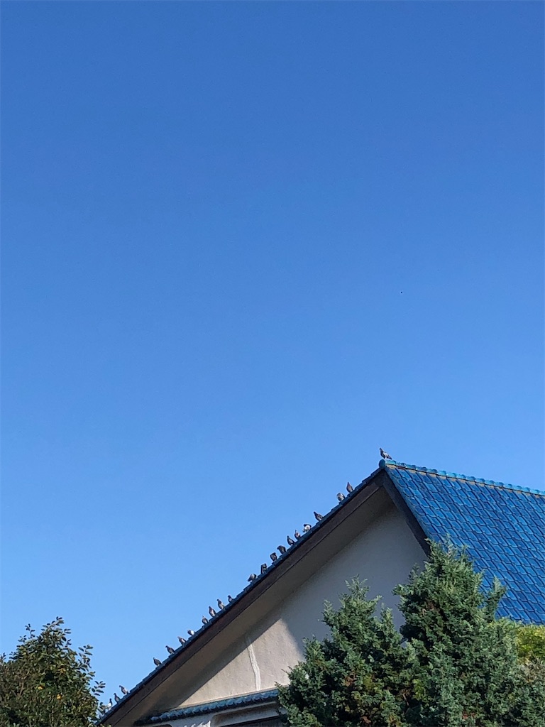 f:id:yomechang:20210916131144j:plain