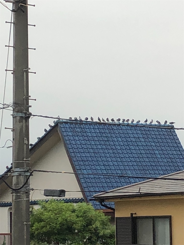 f:id:yomechang:20211007075803j:plain