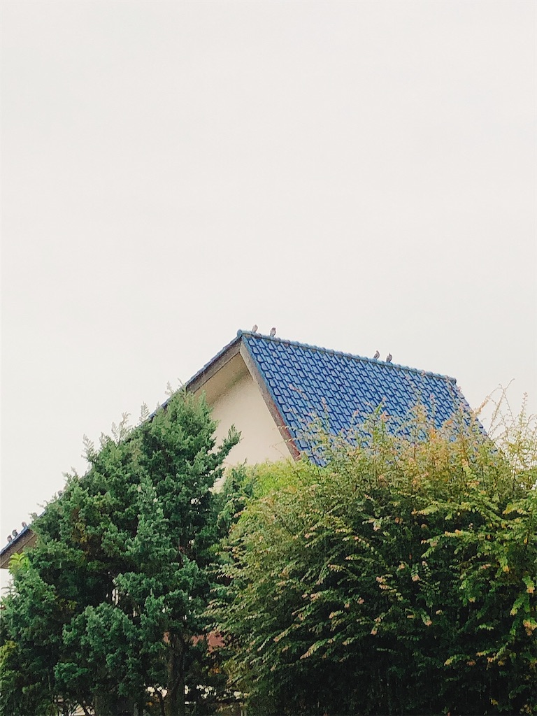 f:id:yomechang:20211022092157j:plain