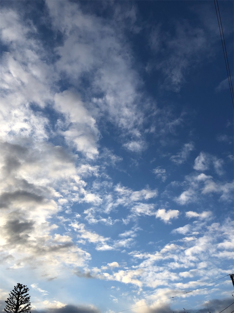 f:id:yomechang:20211026110005j:plain