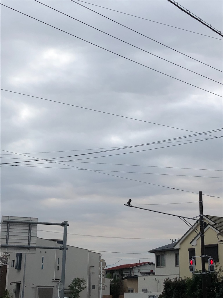 f:id:yomechang:20211027105449j:plain
