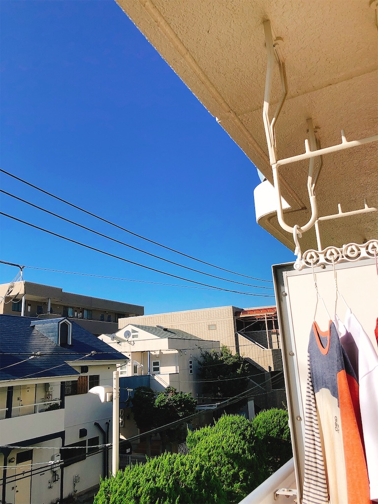 f:id:yomechang:20211030091706j:plain