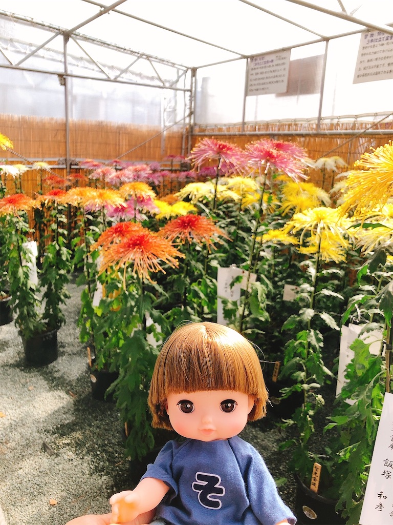 f:id:yomechang:20211106130922j:plain