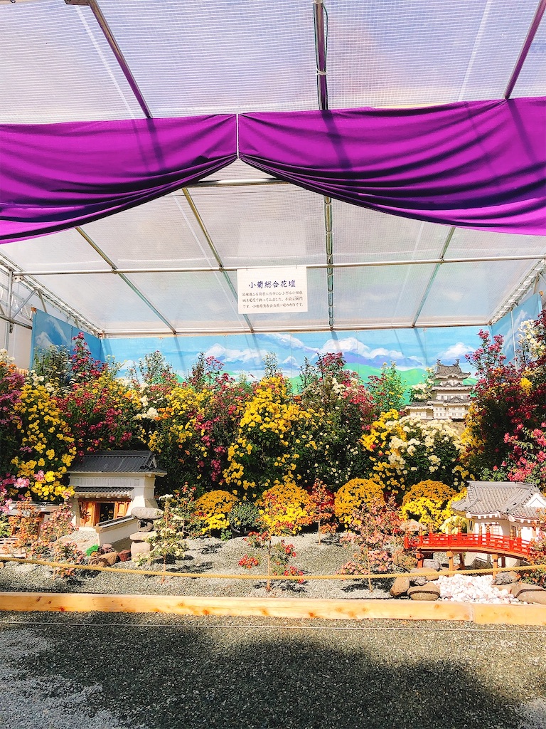 f:id:yomechang:20211106132028j:plain