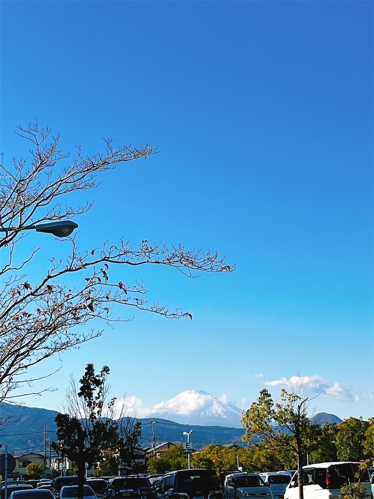 f:id:yomechang:20211204163414j:plain