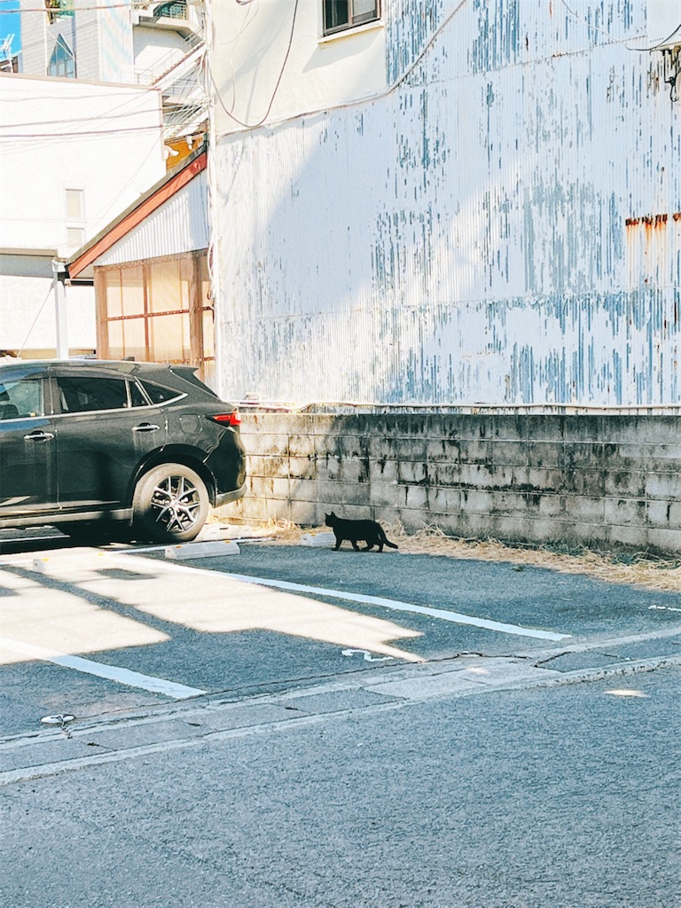 f:id:yomechang:20220122150650j:plain