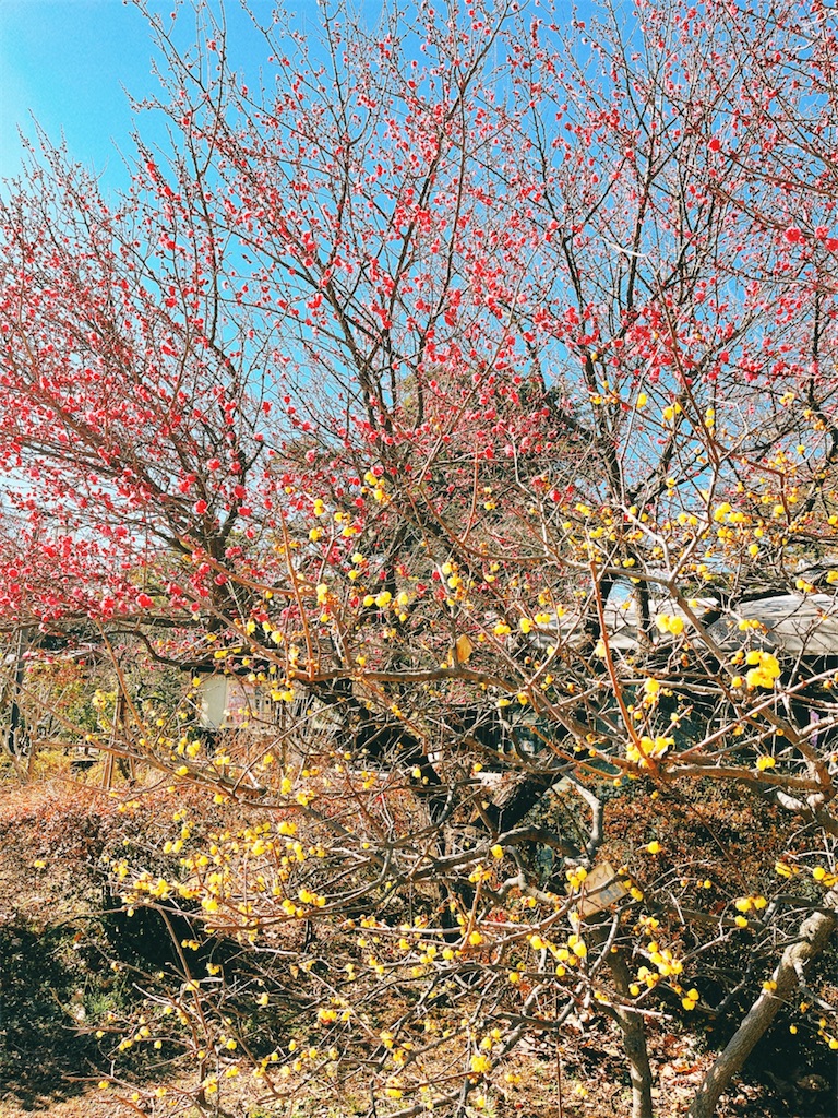 f:id:yomechang:20220122150749j:plain