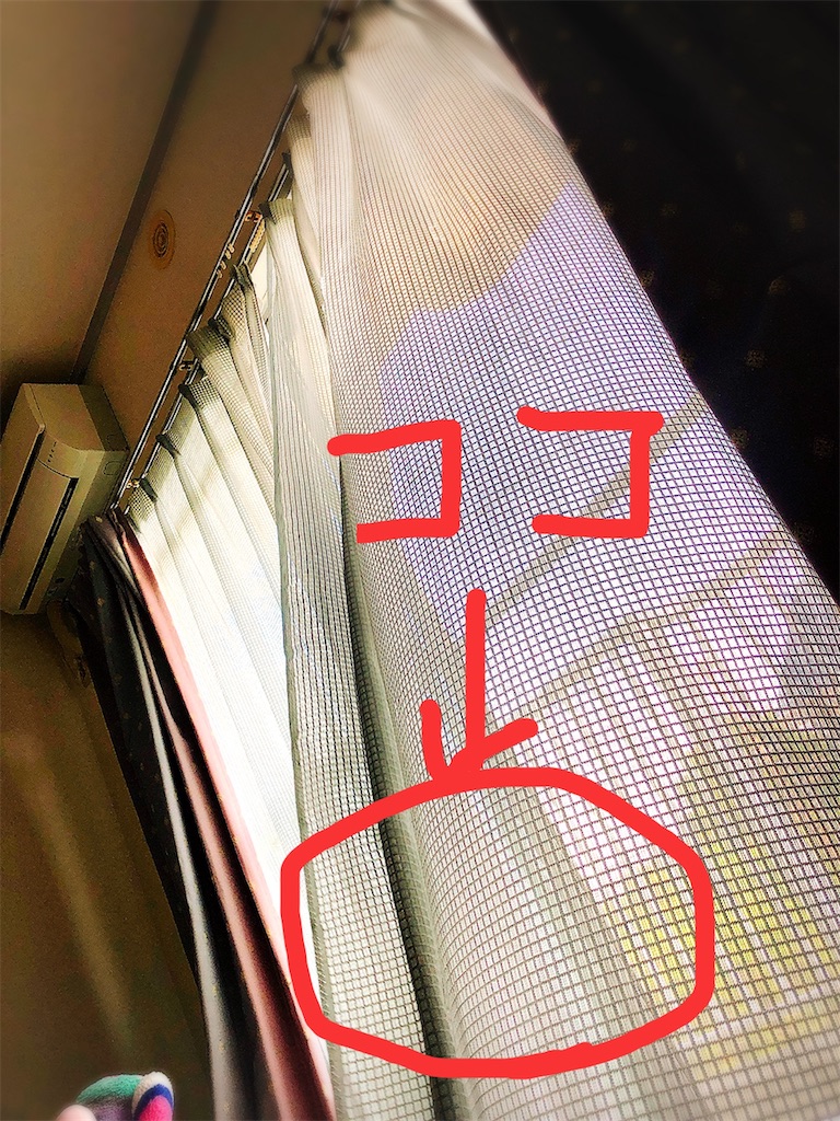 f:id:yomechang:20220205064152j:plain