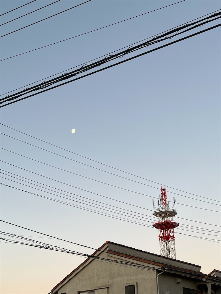 f:id:yomechang:20220221105705j:plain