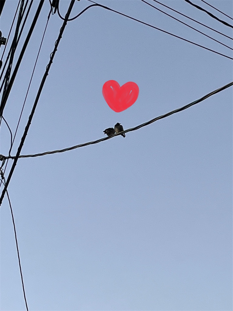 f:id:yomechang:20220222113106j:plain