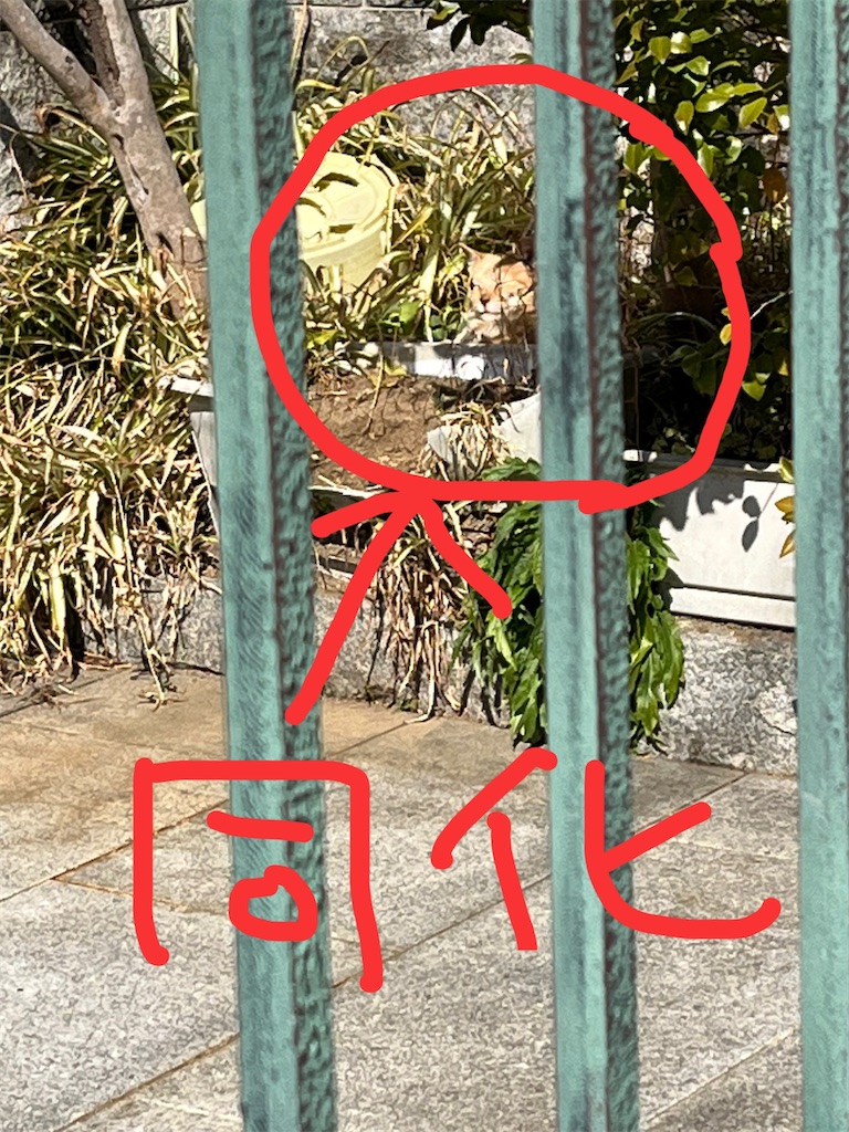 f:id:yomechang:20220301114818j:plain