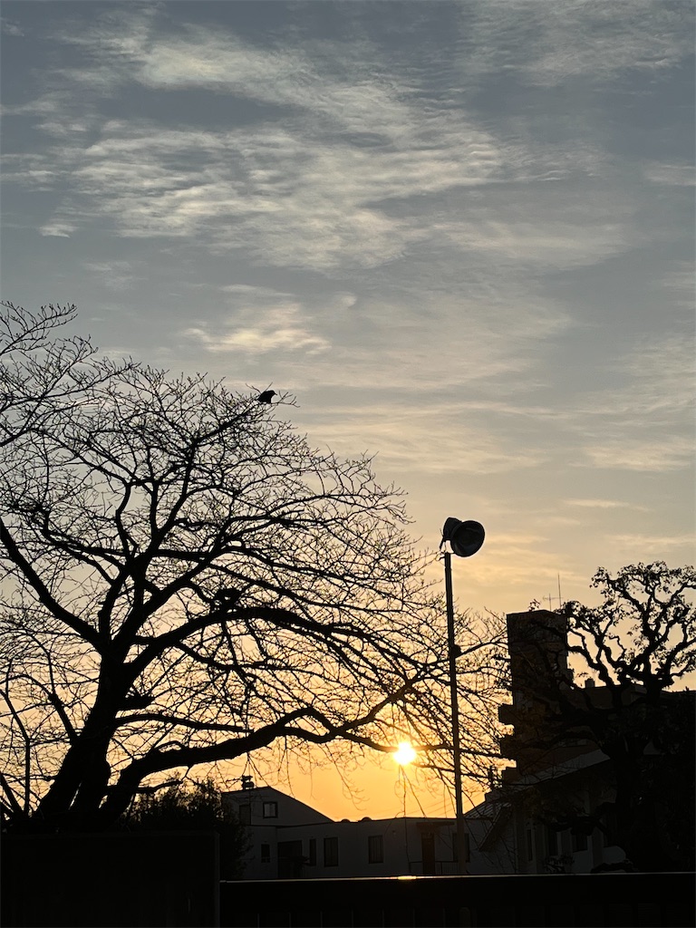 f:id:yomechang:20220302105531j:plain