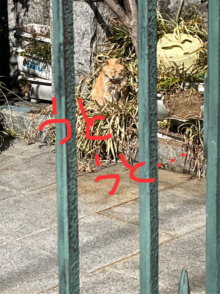 f:id:yomechang:20220302114324j:plain
