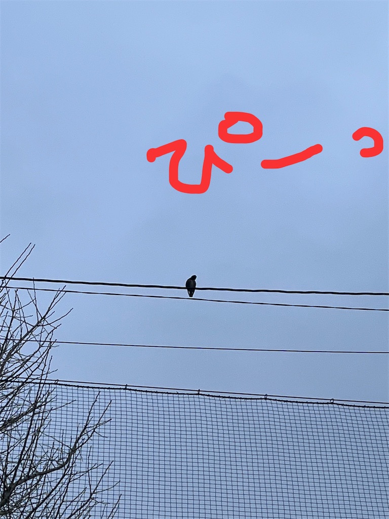 f:id:yomechang:20220308120420j:plain