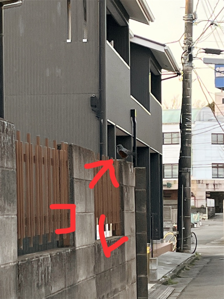 f:id:yomechang:20220309113900j:plain