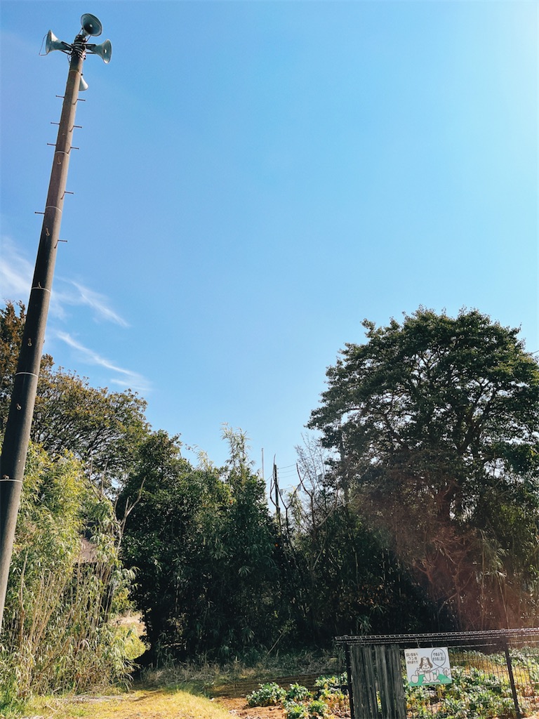 f:id:yomechang:20220309114504j:plain