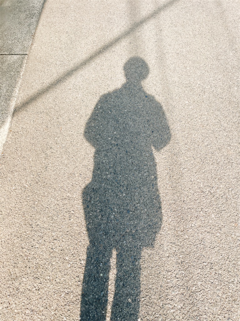 f:id:yomechang:20220309164027j:plain