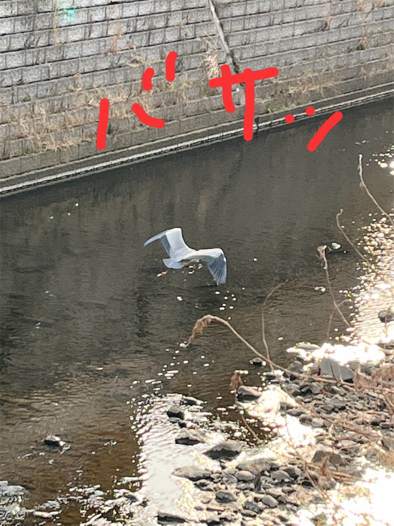 f:id:yomechang:20220309164251j:plain